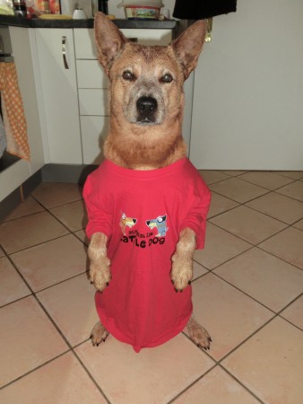 Bublybubly und Pferdchen..:-)