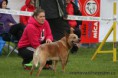 /album/cz-acd-agilitymeisterschaft/img-2509-jpg/