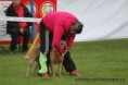 /album/cz-acd-agilitymeisterschaft/img-2510-jpg/